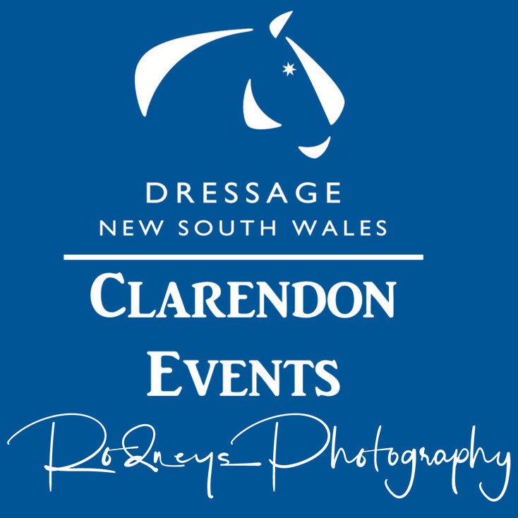 DNSW Clarendon - March Event